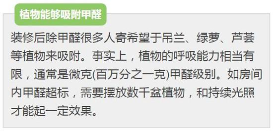 你知道的那些除甲醛方法到底靠谱吗？