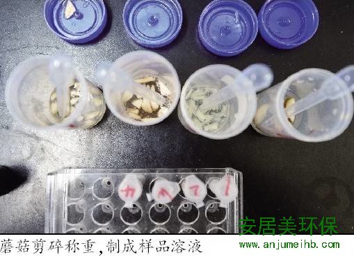 蘑菇里居然含有甲醛？实验发现含量远低于欧盟标准