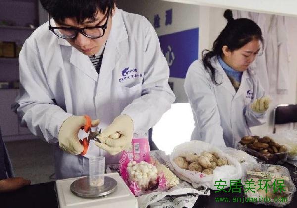 蘑菇里居然含有甲醛？实验发现含量远低于欧盟标准