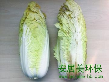 蔬菜泡甲醛保鲜？教你如何鉴别
