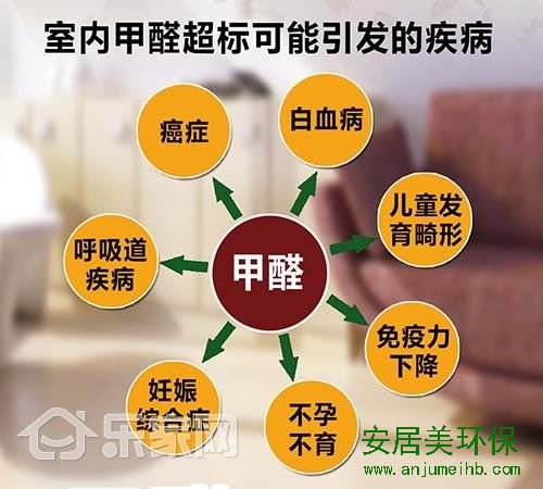 新房快速除甲醛 没有比这3种方法见效再快的了