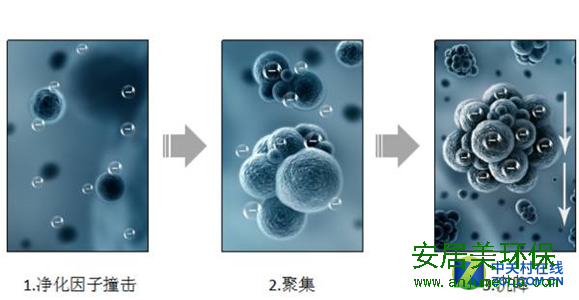 买新房了，你打算怎样解决甲醛污染呢？