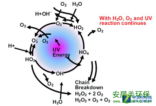 买新房了，你打算怎样解决甲醛污染呢？