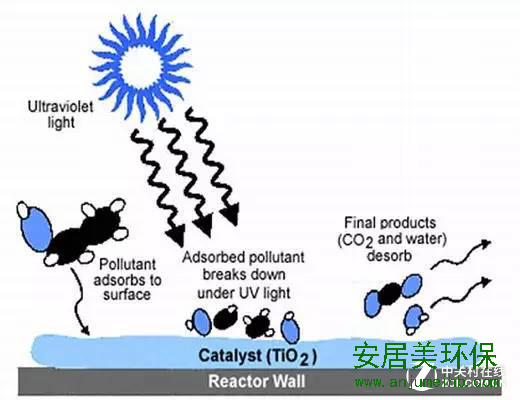 买新房了，你打算怎样解决甲醛污染呢？