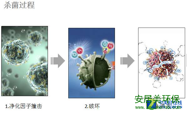 买新房了，你打算怎样解决甲醛污染呢？