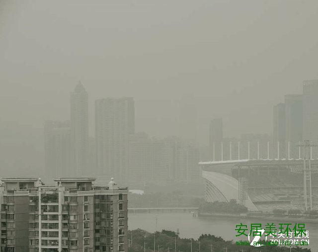 买新房了，你打算怎样解决甲醛污染呢？