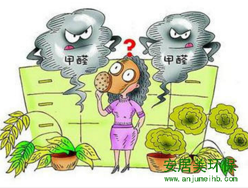 新装修的房子该如何去除甲醛？