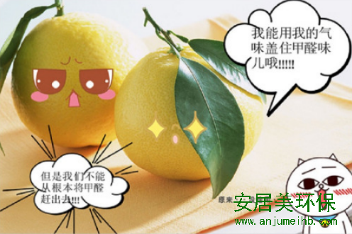 新装修的房子该如何去除甲醛？