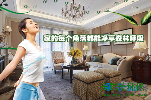 软文街模版副本.JPG