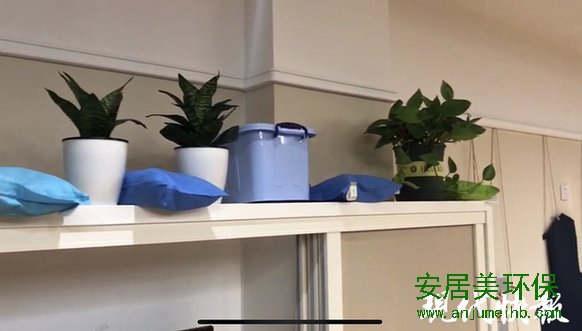幼儿园装修后家长担心甲醛污染 2次检测结果却不同
